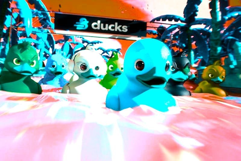 The Four Bet Types in CCTV Duck River: What the Numbers Say